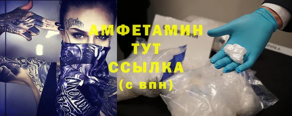 трава Осинники