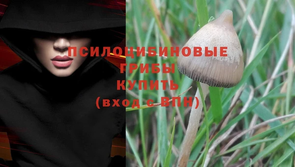 скорость Аркадак