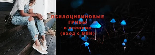 мяу мяу мука Арсеньев