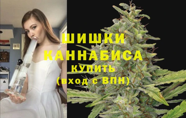 PSILOCYBIN Армянск