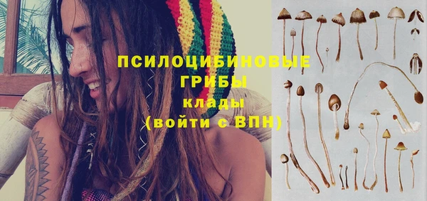мяу мяу мука Арсеньев