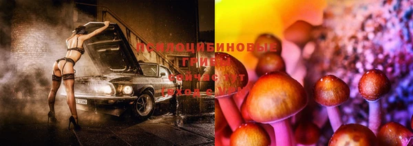PSILOCYBIN Армянск